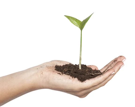 Hand with plant